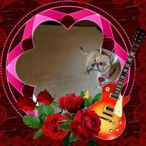 Meet your Posher, Candace